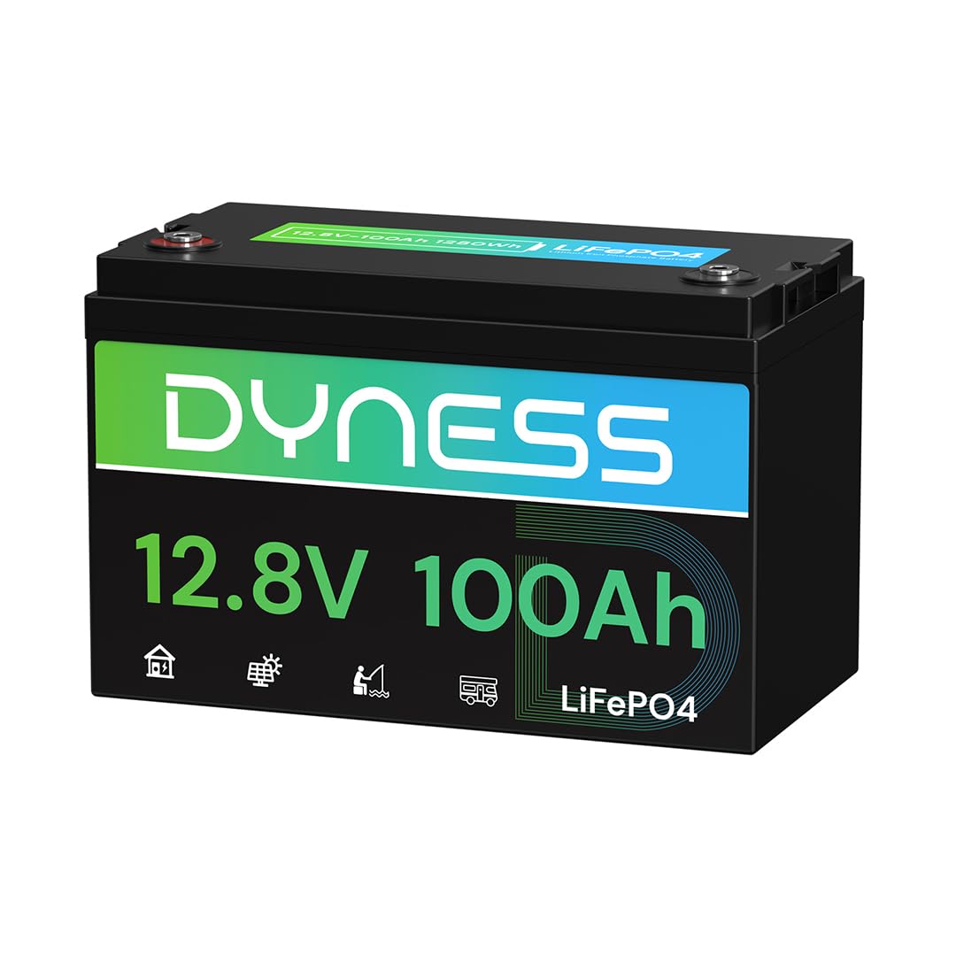 12V 100Ah LiFePO4 Lithium Batt - Lithium Battery 100Ah review and price