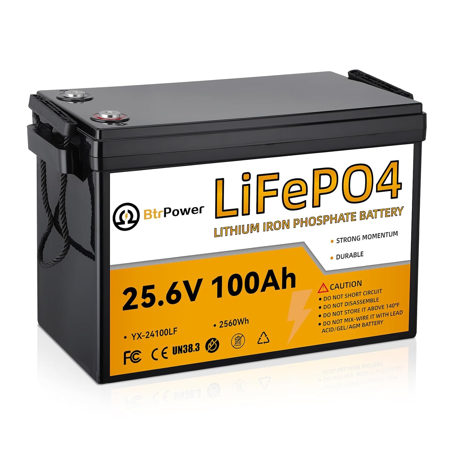 24V 100Ah Lithium LiFePO4 Batt - Lithium Battery 100Ah review and price