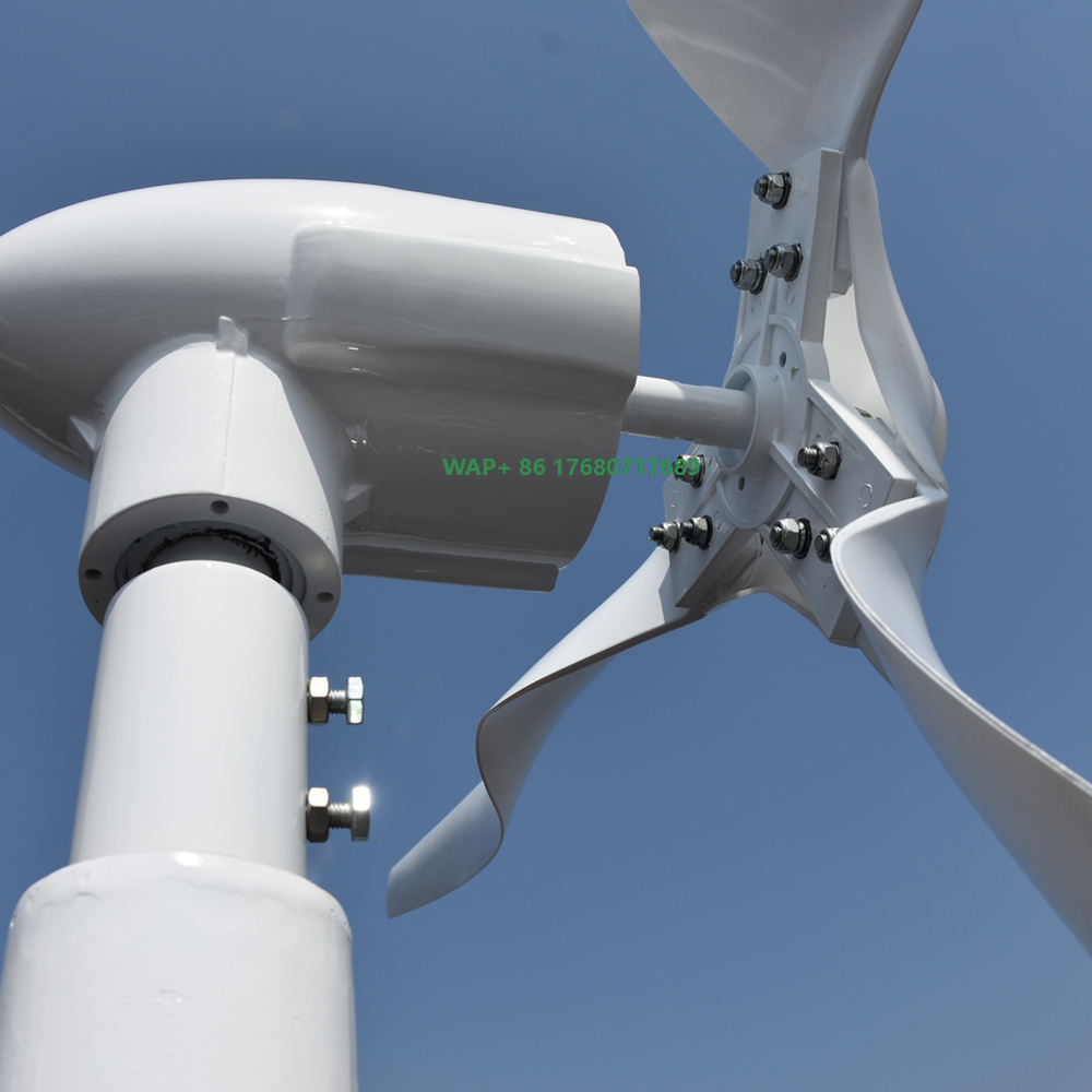 Free Energy Professional Custo - Wind Turbine Generator review and price