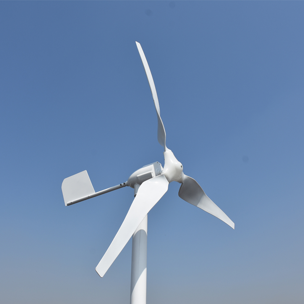 Free Energy Professional Custo - Wind Turbine Generator review and price