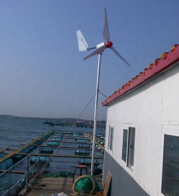 HOT SALE! High Efficiency 12v  - Wind Turbine Generator review and price